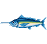 Marlin bleu - Animal Crossing : Wild World (DS) [ACWW]